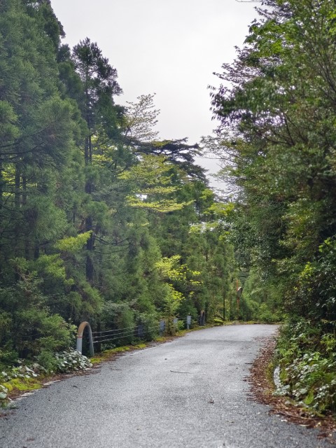 D3: 淀川避難小屋 > 淀川登山口 | 玩盡日本全九州 | 旅遊 露營 跑山 跑步 運動 水上活動 | Hidy Chan | hidychan.com