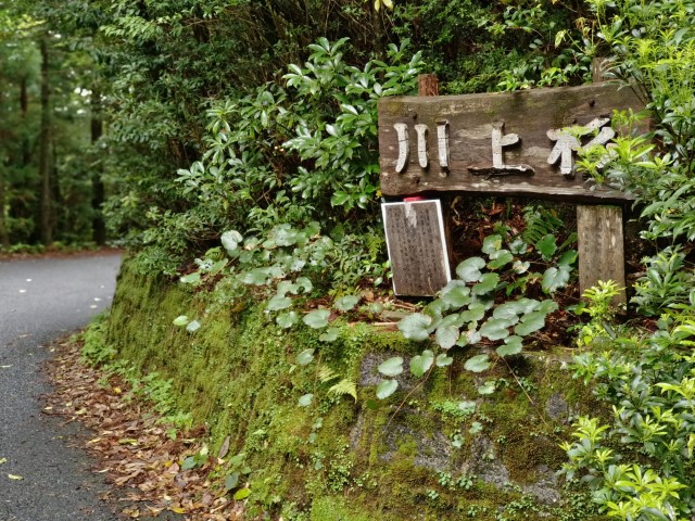 D3: 淀川避難小屋 > 淀川登山口 | 玩盡日本全九州 | 旅遊 露營 跑山 跑步 運動 水上活動 | Hidy Chan | hidychan.com