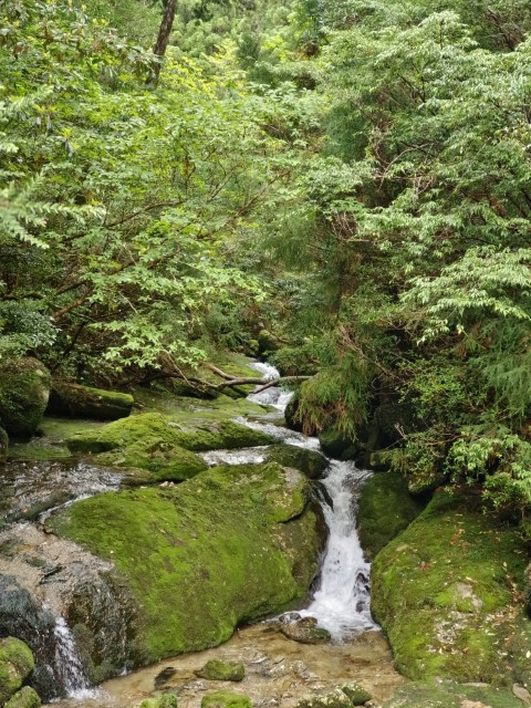 D3: 淀川避難小屋 > 淀川登山口 | 玩盡日本全九州 | 旅遊 露營 跑山 跑步 運動 水上活動 | Hidy Chan | hidychan.com