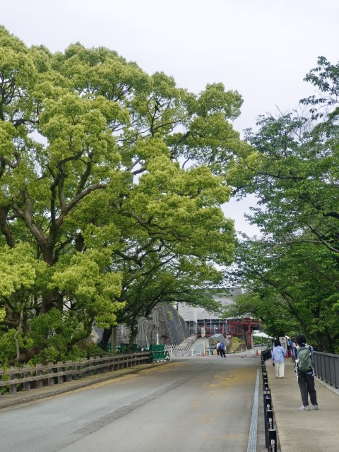 熊本城 | 玩盡日本全九州 | 旅遊 露營 跑山 跑步 運動 水上活動 | Hidy Chan | hidychan.com