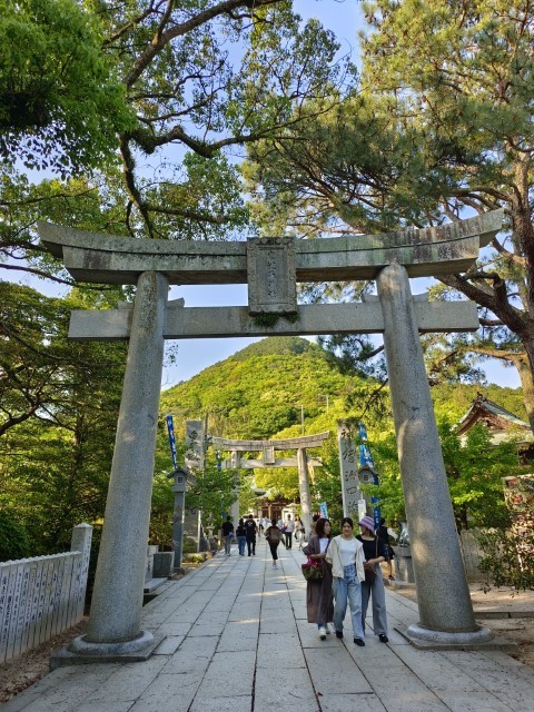 宮地嶽神社 | 玩盡日本全九州 | 旅遊 露營 跑山 跑步 運動 水上活動 | Hidy Chan | hidychan.com