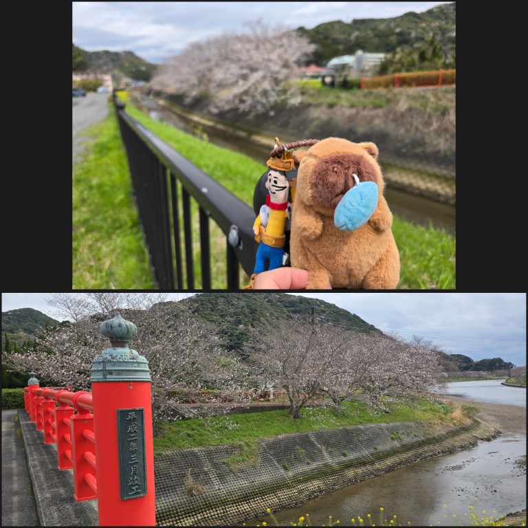 伊豆西 | 首次自駕Camper Van | 旅遊 露營 跑山 跑步 運動 水上活動 | Hidy Chan | hidychan.com