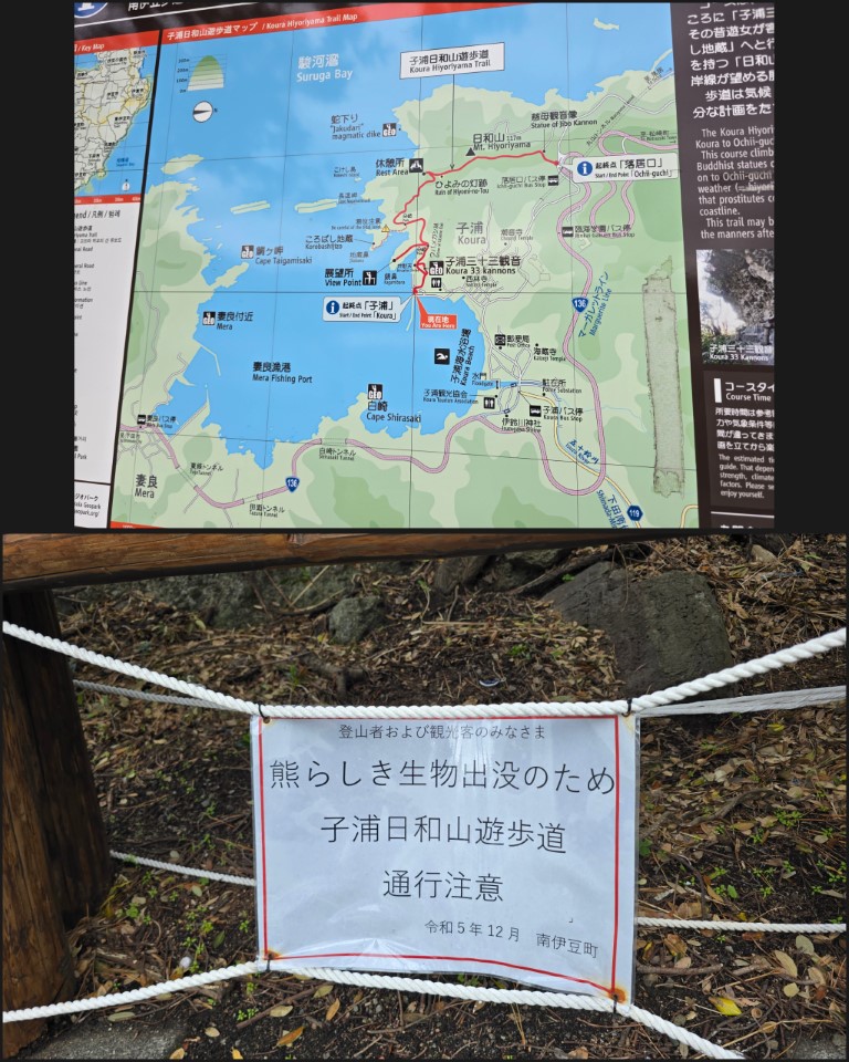 伊豆西 | 首次自駕Camper Van | 旅遊 露營 跑山 跑步 運動 水上活動 | Hidy Chan | hidychan.com