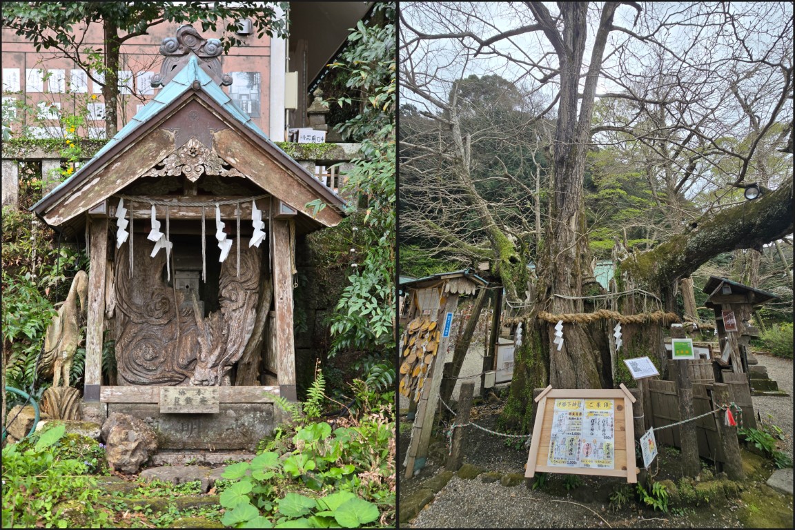 伊豆西 | 首次自駕Camper Van | 旅遊 露營 跑山 跑步 運動 水上活動 | Hidy Chan | hidychan.com