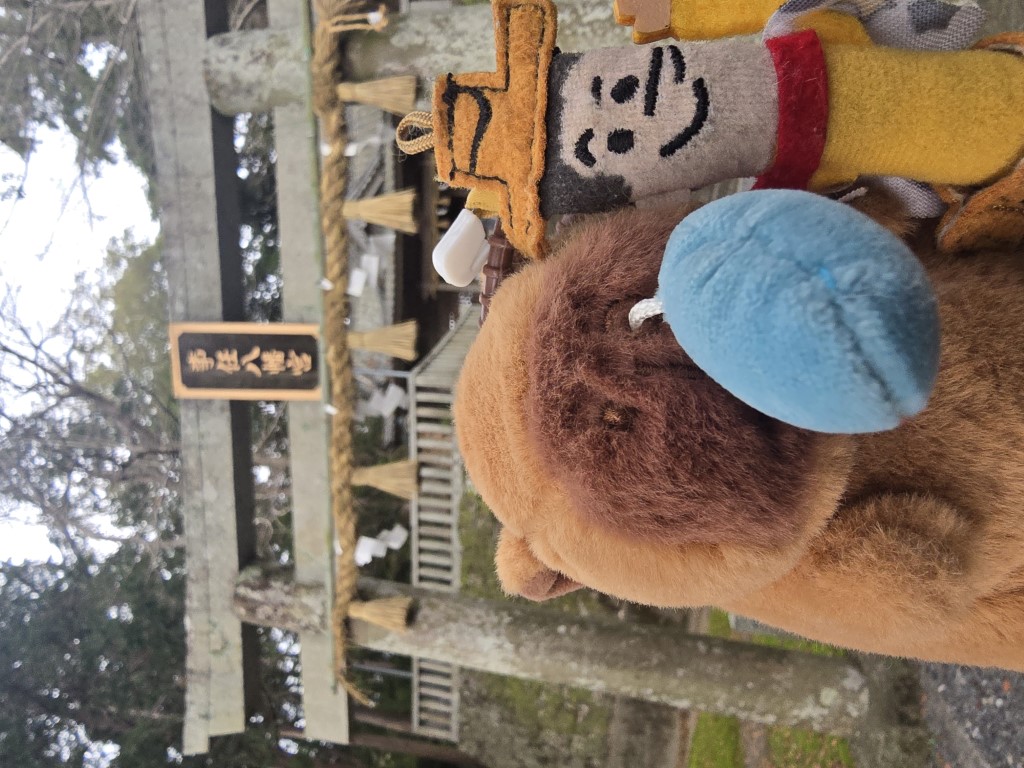 川根本 | 首次自駕Camper Van | 旅遊 露營 跑山 跑步 運動 水上活動 | Hidy Chan | hidychan.com