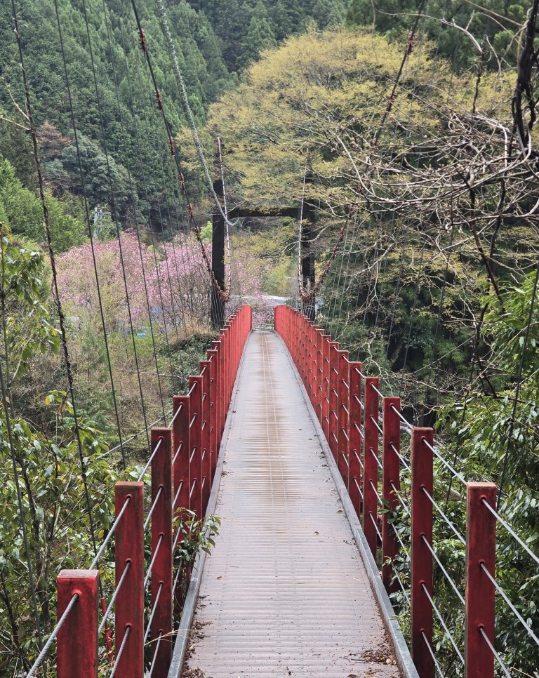 奥大井 | 首次自駕Camper Van | 旅遊 露營 跑山 跑步 運動 水上活動 | Hidy Chan | hidychan.com