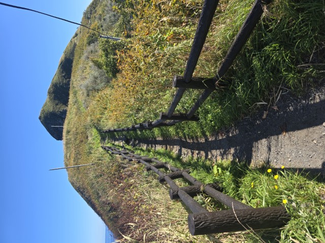 利尻島頭半圈 | 有一種增肥叫北海道 | hidychan.com