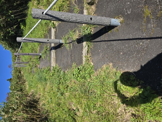 利尻島尾半圈 | 有一種增肥叫北海道 | hidychan.com