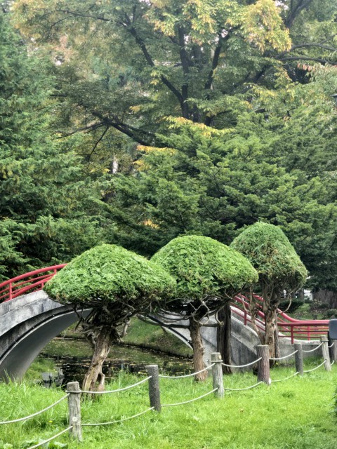 旭川 | 有一種增肥叫北海道 | hidychan.com
