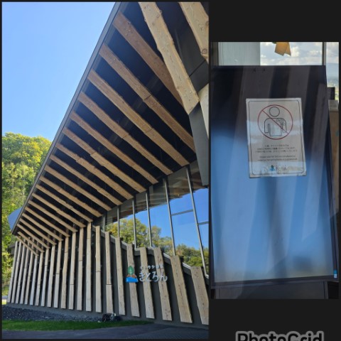 美瑛 | 有一種增肥叫北海道 | hidychan.com