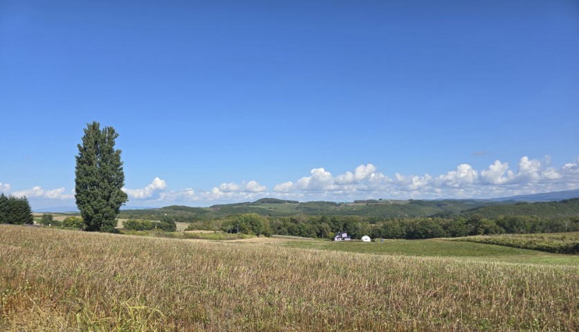 美瑛 | 有一種增肥叫北海道 | hidychan.com