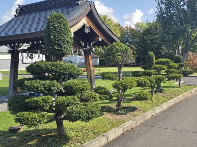 美瑛 | 有一種增肥叫北海道 | hidychan.com