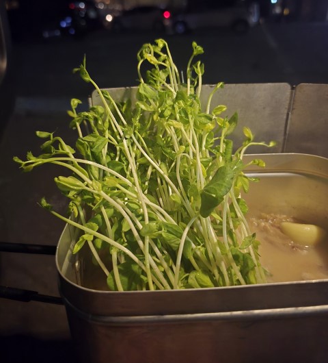 富良野 | 有一種增肥叫北海道 | hidychan.com