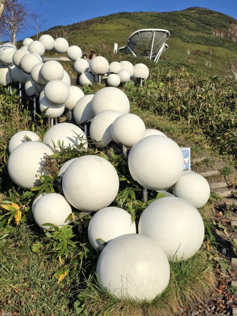 星野 | 有一種增肥叫北海道 | hidychan.com