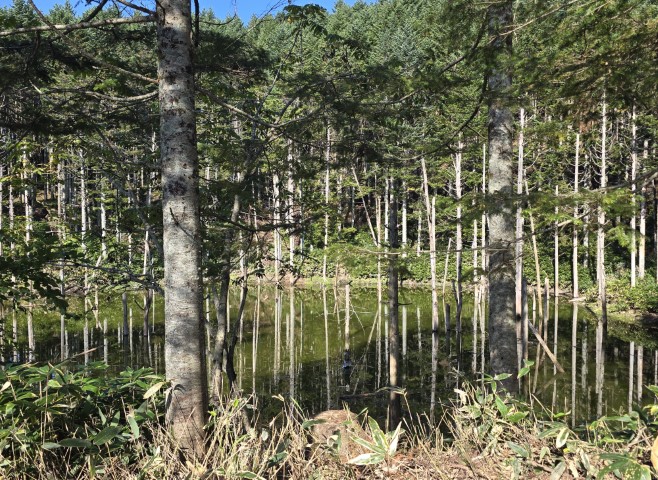 地獄谷 | 有一種增肥叫北海道 | hidychan.com
