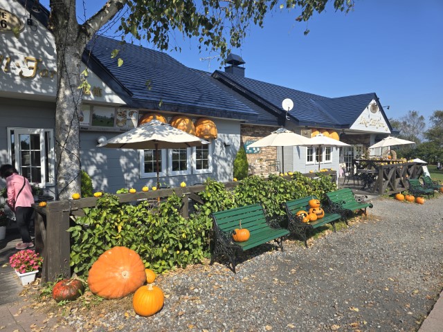 洞爺湖 | 有一種增肥叫北海道 | hidychan.com