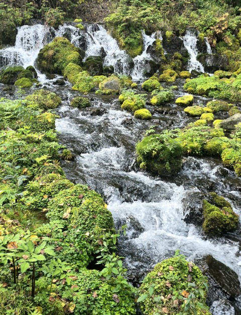 京極町 | 有一種增肥叫北海道 | hidychan.com