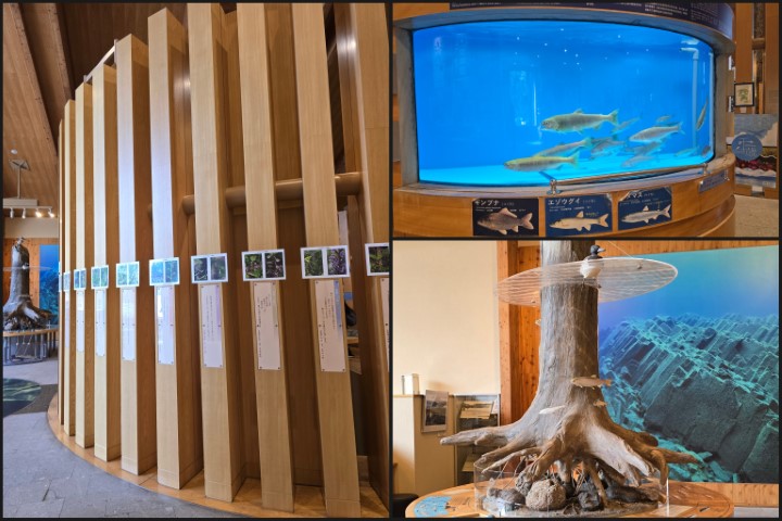 D11 札幌>香港 | 有一種增肥叫北海道 | hidychan.com