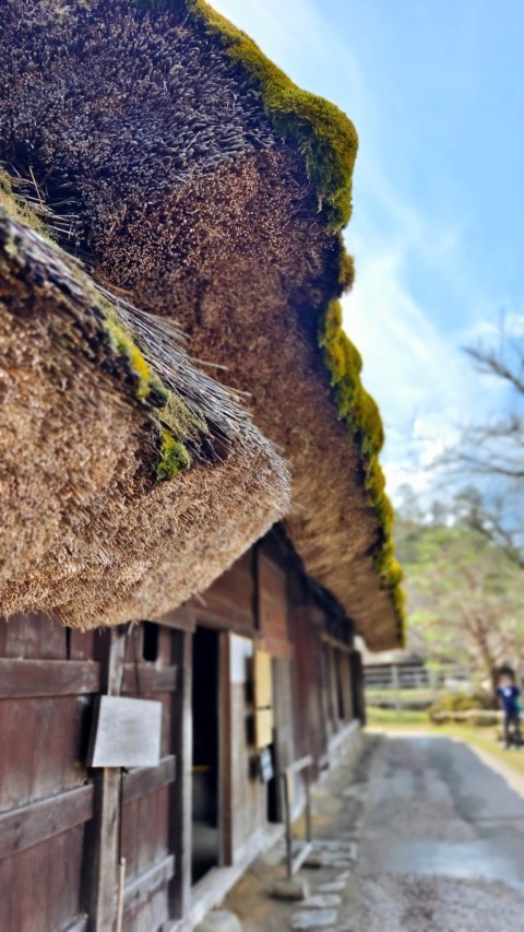 合掌屋 | 五條蛋散自駕名古屋立山 | hidychan.com