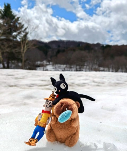 飛驒市 | 五條蛋散自駕名古屋立山 | hidychan.com