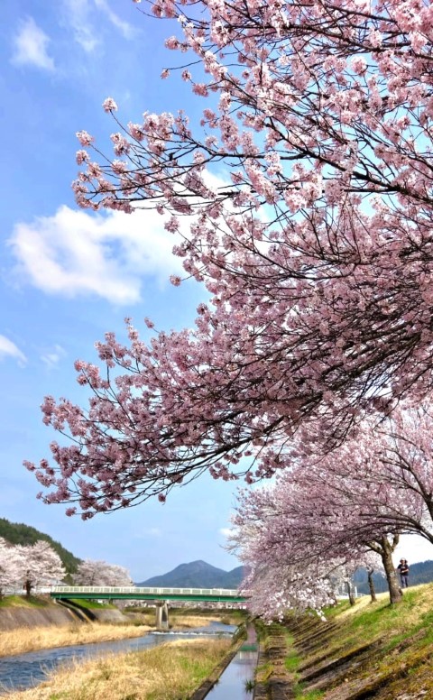 富山市 | 五條蛋散自駕名古屋立山 | hidychan.com