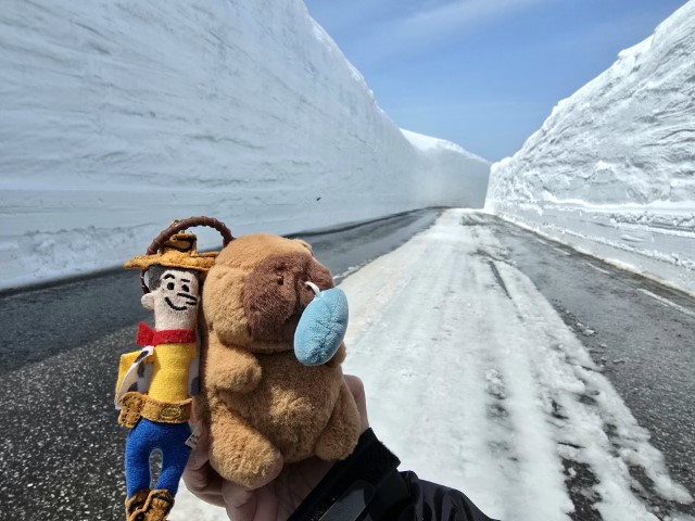 室堂雪牆 | 五條蛋散自駕名古屋立山 | hidychan.com