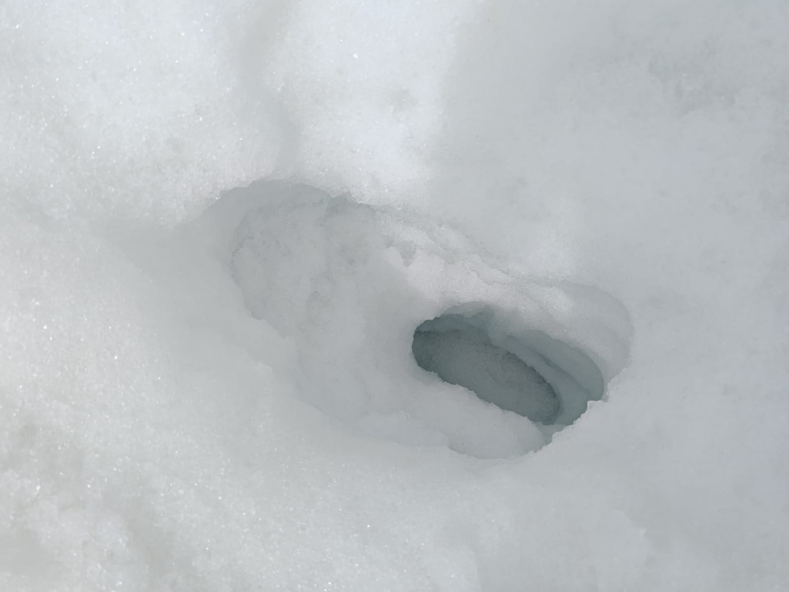 登山 | 五條蛋散自駕名古屋立山 | hidychan.com