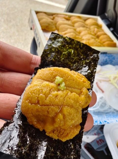 Montbell營地 | 五條蛋散自駕名古屋立山 | hidychan.com