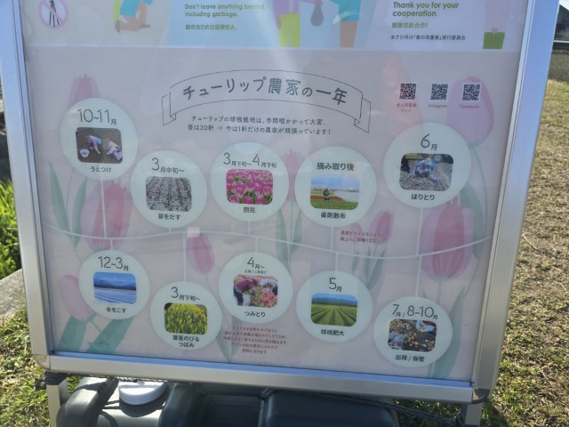 春の四重奏 | 五條蛋散自駕名古屋立山 | hidychan.com