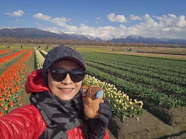 春の四重奏 | 五條蛋散自駕名古屋立山 | hidychan.com