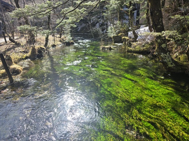 上高地 | 五條蛋散自駕名古屋立山 | hidychan.com