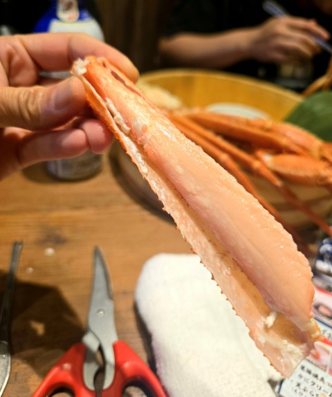 蟹蟹放題 | 五條蛋散自駕名古屋立山 | hidychan.com