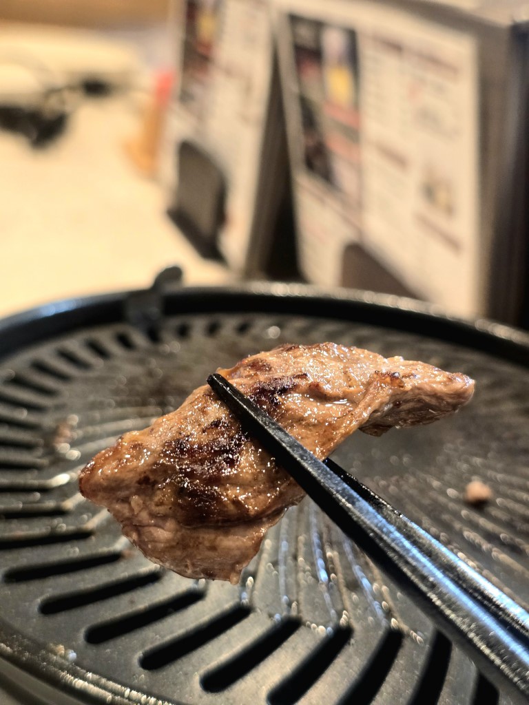D1: 大阪堺市 | 大阪郊遊遊露營車過新年 | hidychan.com