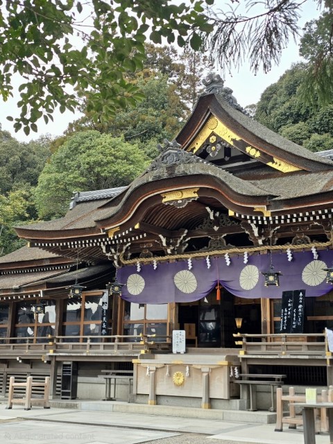 天理 | 大阪郊遊遊露營車過新年 | hidychan.com