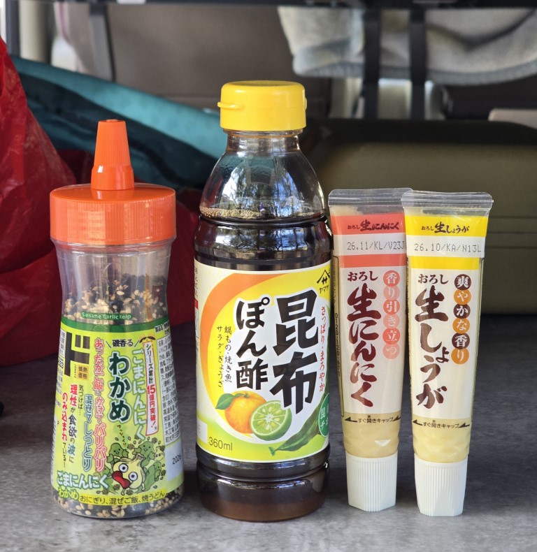 法隆寺 | 大阪郊遊遊露營車過新年 | hidychan.com