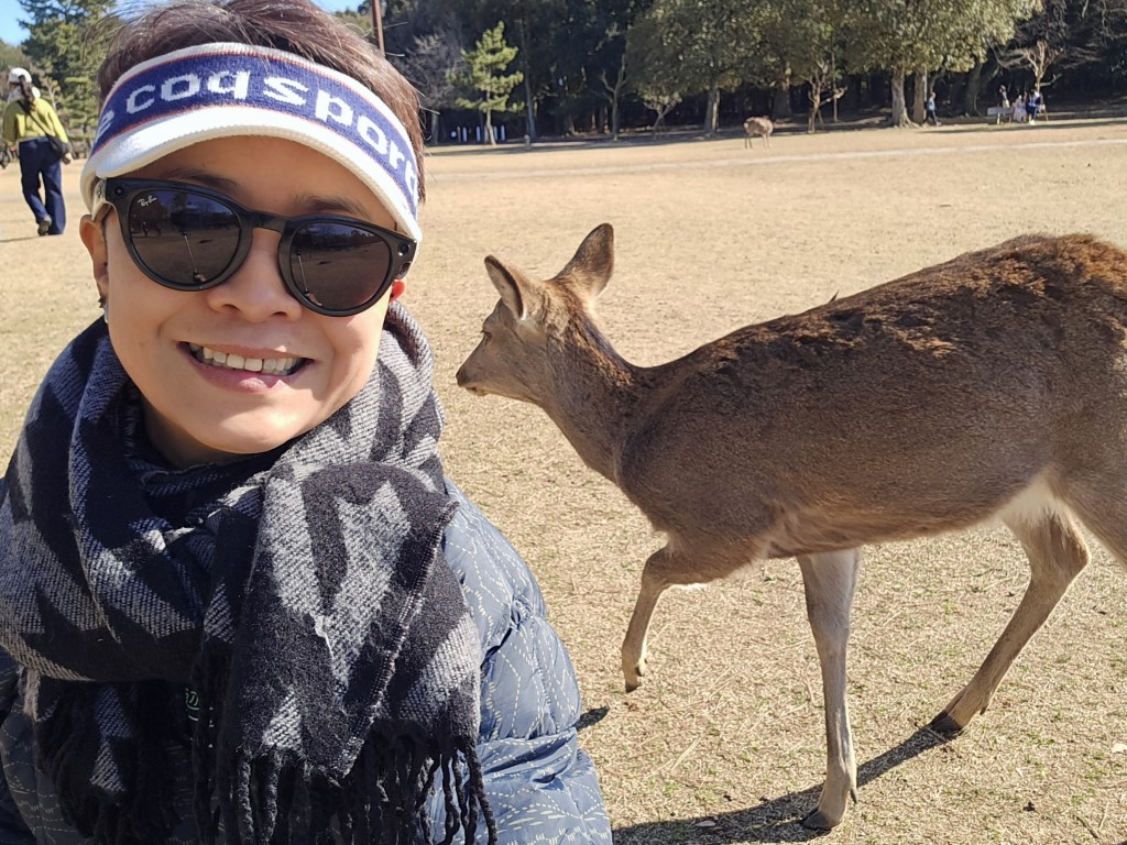 奈良公園 | 大阪郊遊遊露營車過新年 | hidychan.com