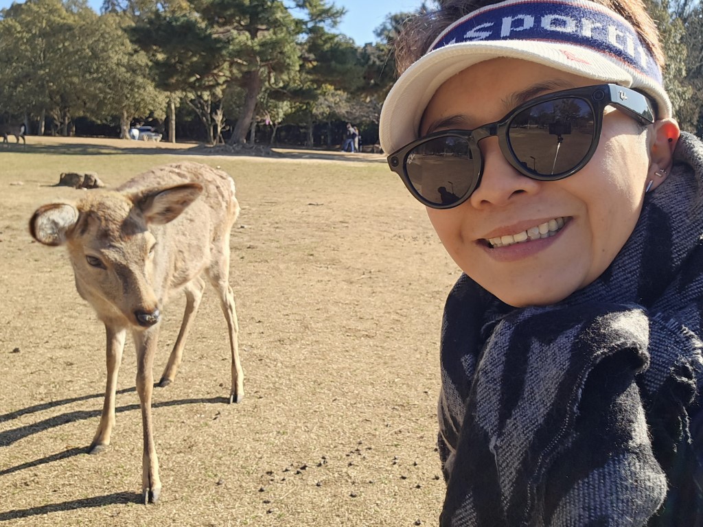 奈良公園 | 大阪郊遊遊露營車過新年 | hidychan.com