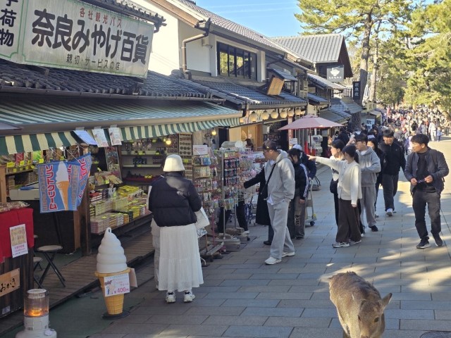 奈良公園 | 大阪郊遊遊露營車過新年 | hidychan.com