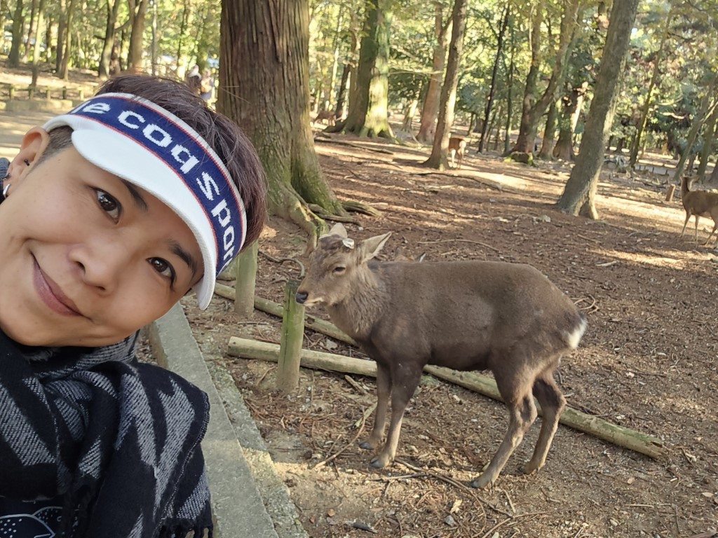 奈良公園 | 大阪郊遊遊露營車過新年 | hidychan.com