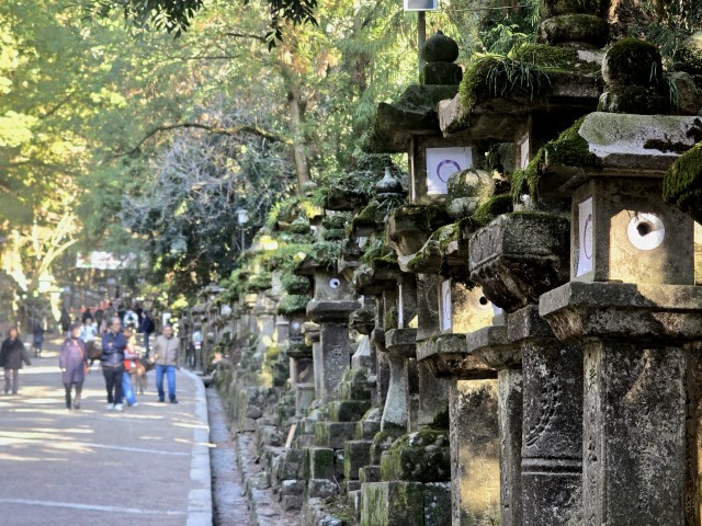 奈良公園 | 大阪郊遊遊露營車過新年 | hidychan.com