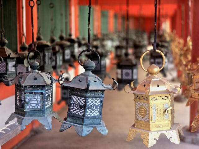 奈良公園 | 大阪郊遊遊露營車過新年 | hidychan.com