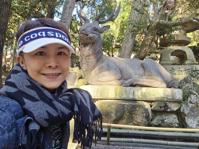 奈良公園 | 大阪郊遊遊露營車過新年 | hidychan.com
