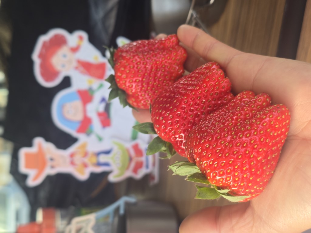 琵琶湖一圈(上) | 大阪郊遊遊露營車過新年 | hidychan.com