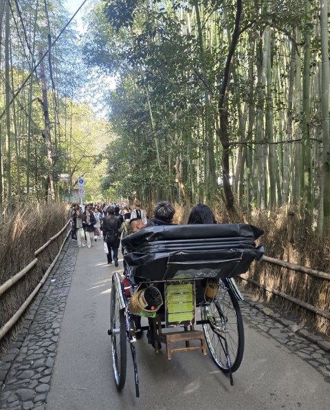 嵐山 | 大阪郊遊遊露營車過新年 | hidychan.com