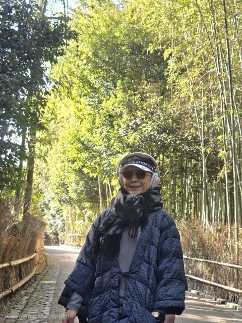 嵐山 | 大阪郊遊遊露營車過新年 | hidychan.com
