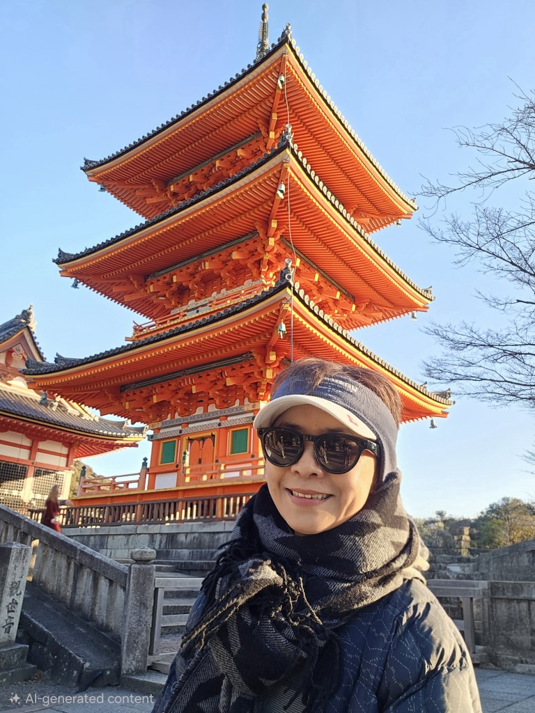 清水寺 | 大阪郊遊遊露營車過新年 | hidychan.com