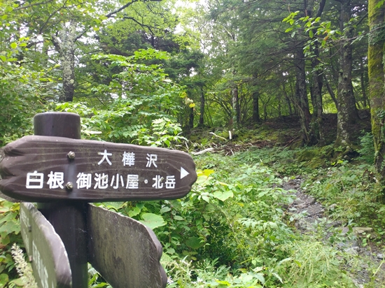 D4: 広河原>白根御池小屋 | 自己一人出走挑戰日本神山之旅 | 旅遊 露營 跑山 跑步 運動 水上活動 | Hidy Chan | hidychan.com