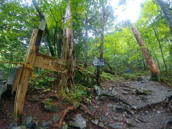 D4: 広河原>白根御池小屋 | 自己一人出走挑戰日本神山之旅 | 旅遊 露營 跑山 跑步 運動 水上活動 | Hidy Chan | hidychan.com