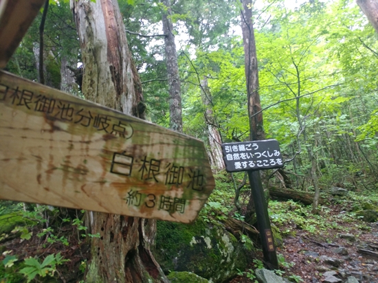 D4: 広河原>白根御池小屋 | 自己一人出走挑戰日本神山之旅 | 旅遊 露營 跑山 跑步 運動 水上活動 | Hidy Chan | hidychan.com