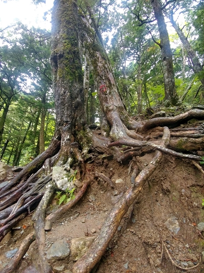 D4: 広河原>白根御池小屋 | 自己一人出走挑戰日本神山之旅 | 旅遊 露營 跑山 跑步 運動 水上活動 | Hidy Chan | hidychan.com